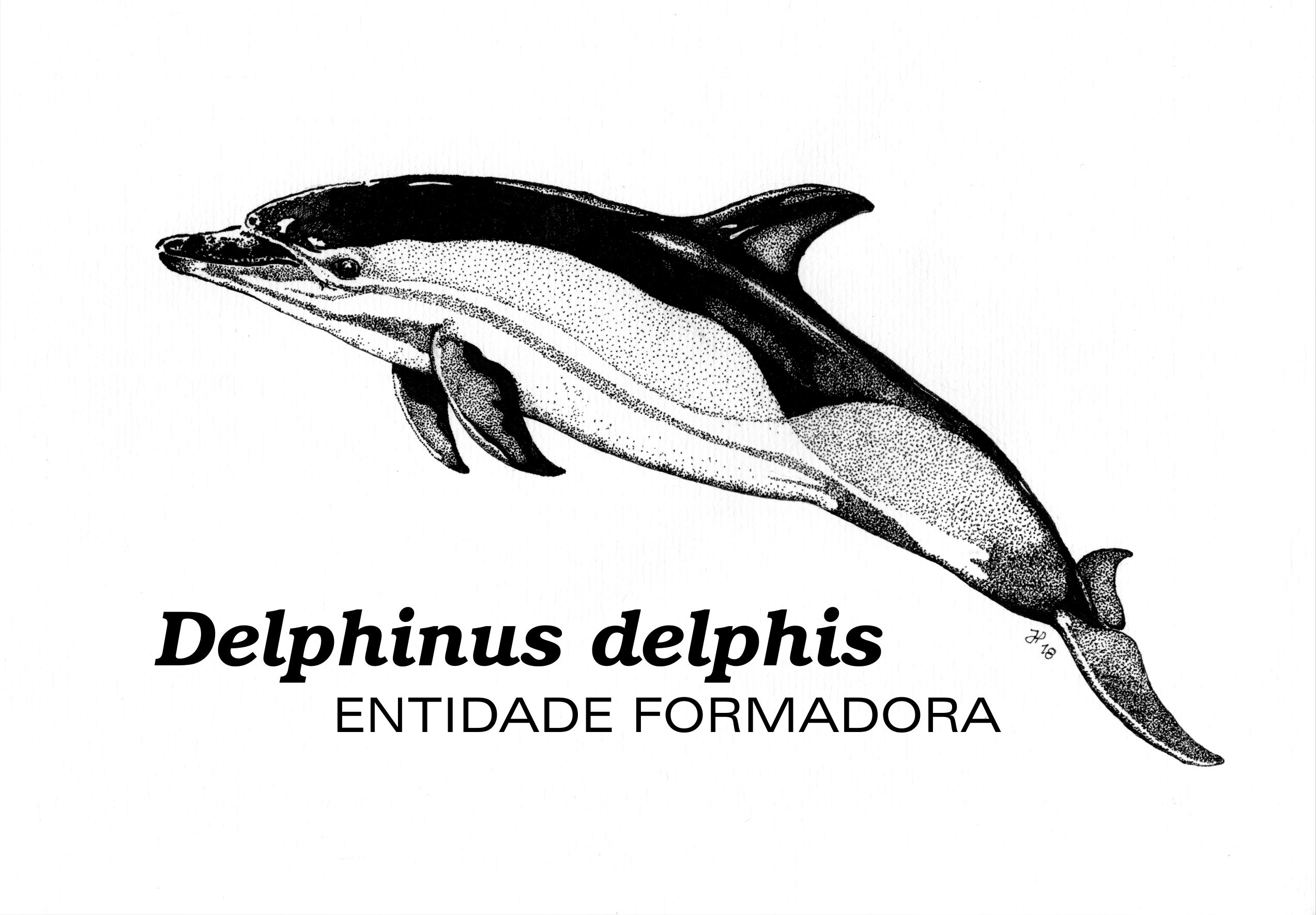 Delphinus